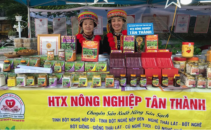 HTX Tân Thành giúp phụ nữ người dân tộc Dao phát triển kinh tế từ sản phẩm thế mạnh của địa phương.