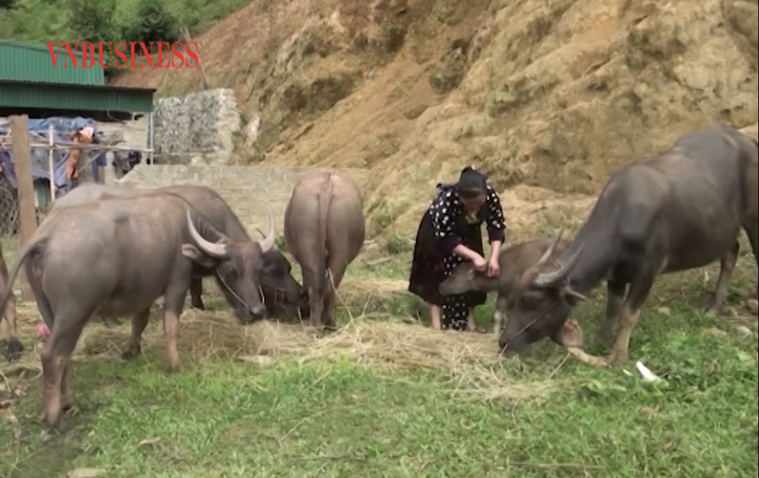 Đến nay, toàn xã Xá Nhè đã có 60% chị em phụ nữ thoát nghèo, nhiều người có thu nhập từ 40-70 triệu đồng/năm.