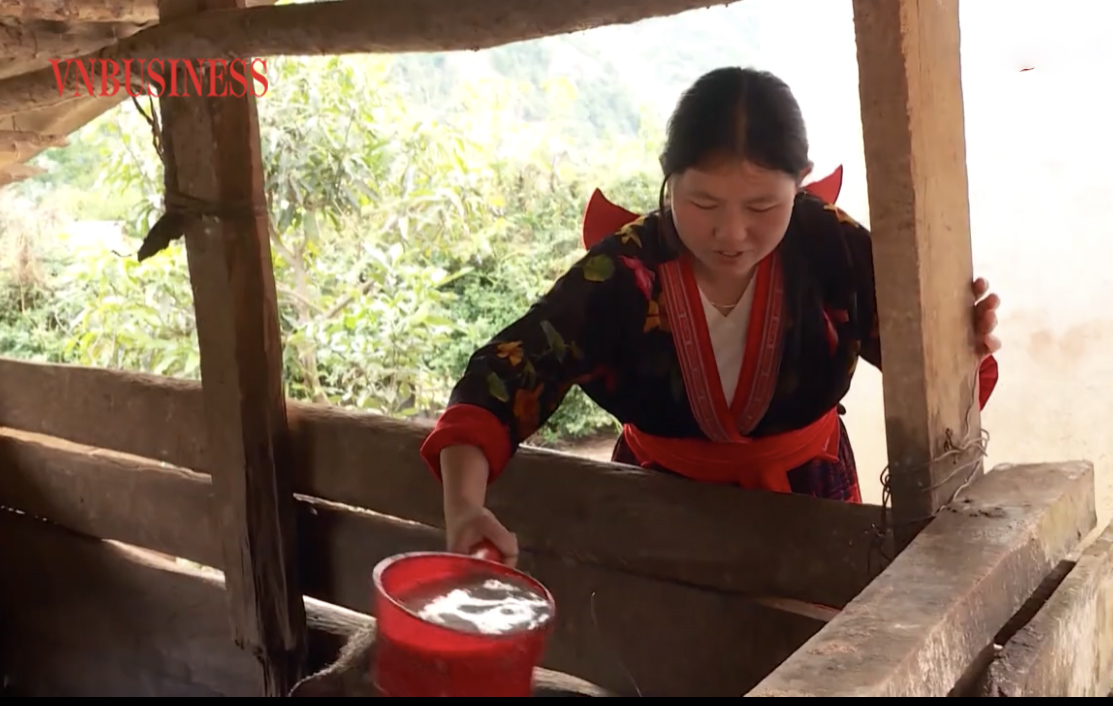 Chị Hạng Thị Sú không chỉ nỗ lực cho bản thân mình mà còn giúp chị em trong bản, trong xã phát triển kinh tế gia đình.