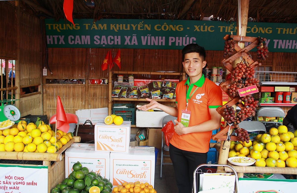 Sản phẩm cam của HTX nông dân trồng cam sạch xã Vĩnh Phúc từng bước được khẳng định thương hiệu và giá trị.