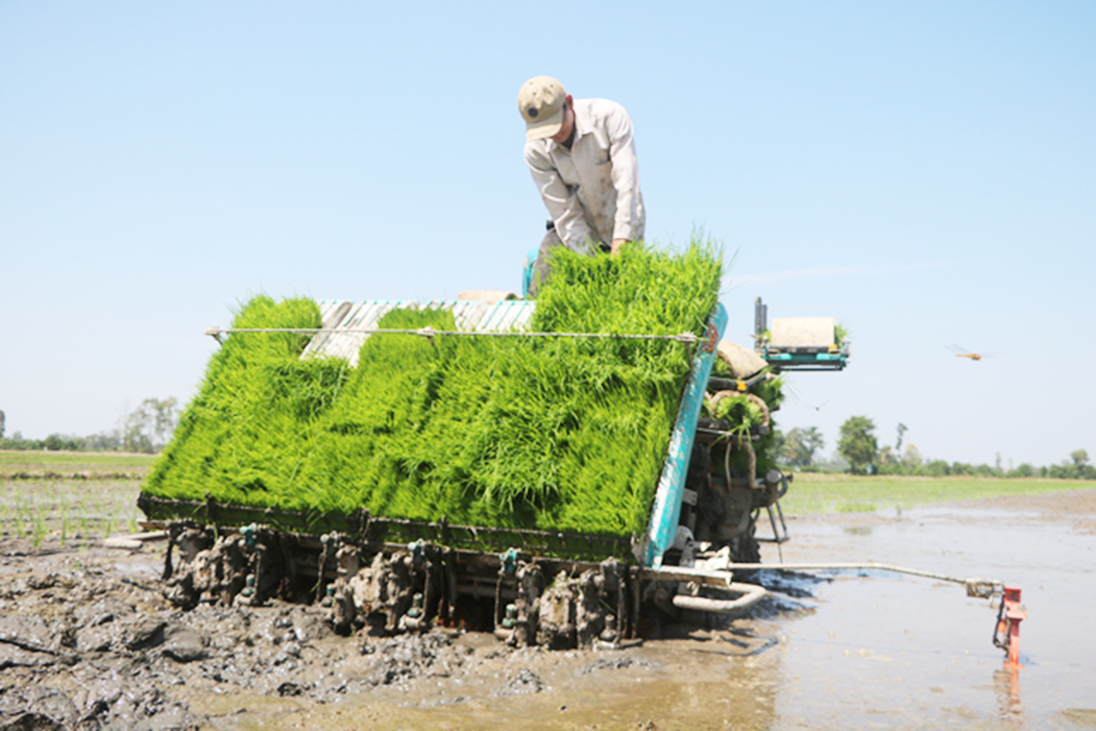 Các chương trình đào tạo nghề của xã sẽ được đẩy mạnh cả trong nông nghiệp và phi nông nghiệp (Ảnh TL).