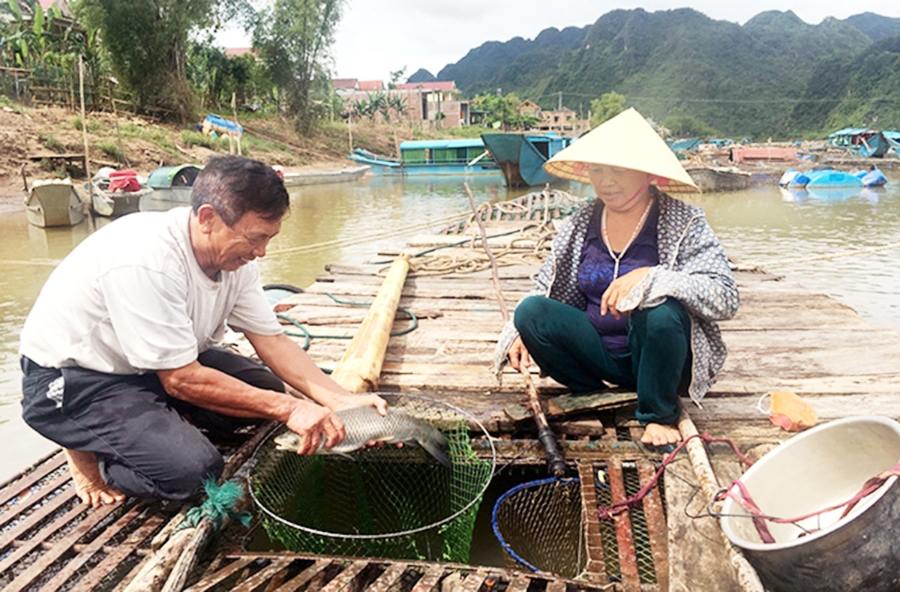 Các chính sách dân tộc, tôn giáo đi vào đời sống, nâng cao thu nhập cho người công giáo trên địa bàn huyện.