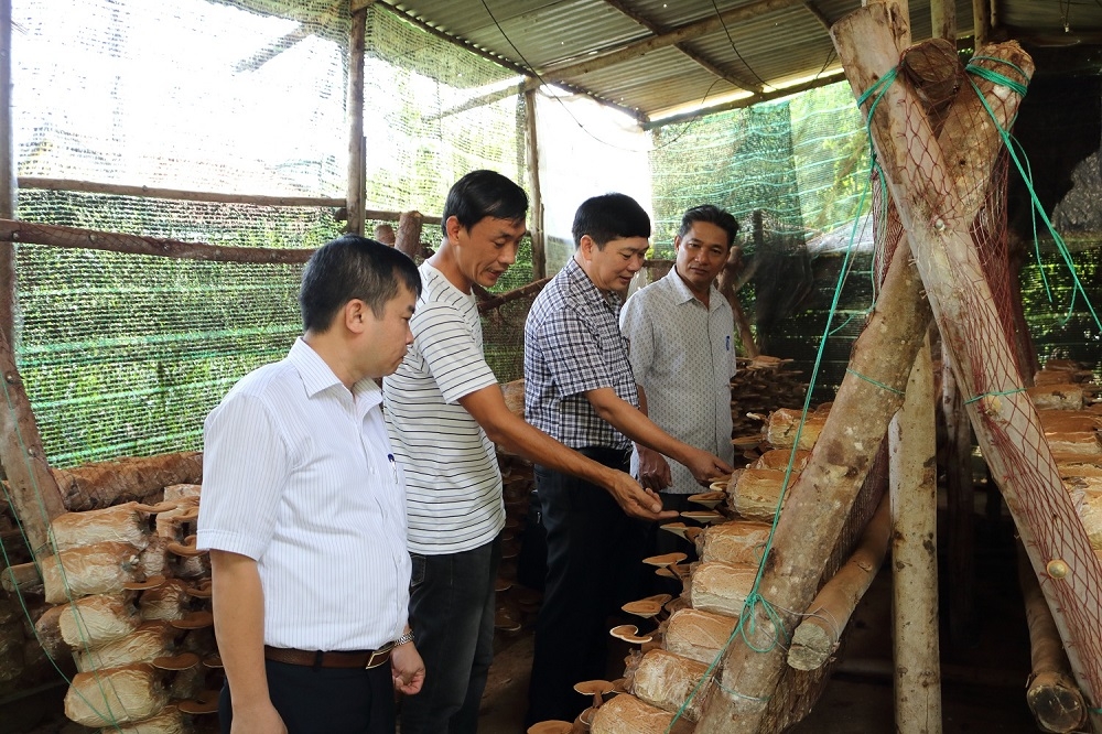 Phó Chủ tịch Liên minh HTX Việt Nam Lê văn Nghị (thứ hai từ phải sang) tham quan mô hình sản xuất của HTX Vĩnh Ngọc.