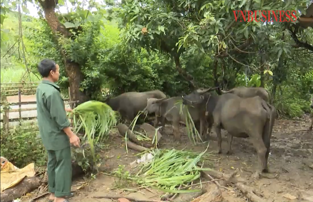 Nhờ tham gia vào phong trào giúp nhau giảm nghèo, làm kinh tế giỏi, nhiều gia đình đã thoát nghèo.