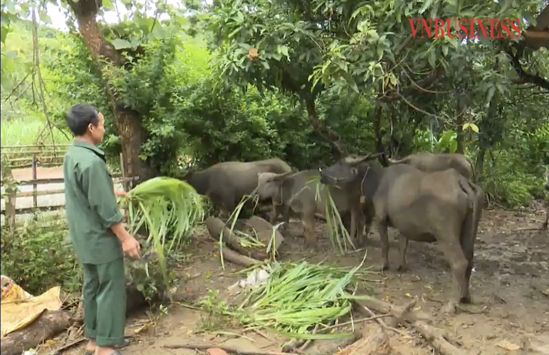 Nhờ tham gia vào phong trào giúp nhau giảm nghèo, làm kinh tế giỏi, nhiều gia đình đã thoát nghèo.