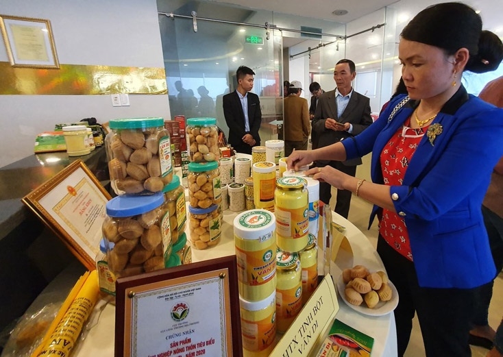 HTX giới thiệu sản phẩm tinh bột nghệ tại một hội nghị kết nối cung cầu của tỉnh Quảng Bình.