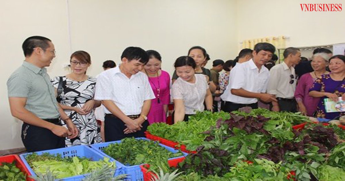 Hoạt động thăm quan, mua bán tại cửa hàng giới thiệu, phân phối rau, củ, quả và thực phẩm an toàn theo chuỗi của HTX.