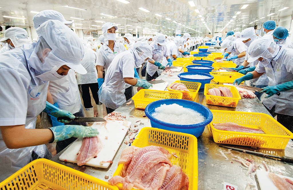 XK cá tra sang các thị trường lớn đang lấy lại đà phục hồi tốt, duy chỉ có thị trường EU chưa thoát mức âm.