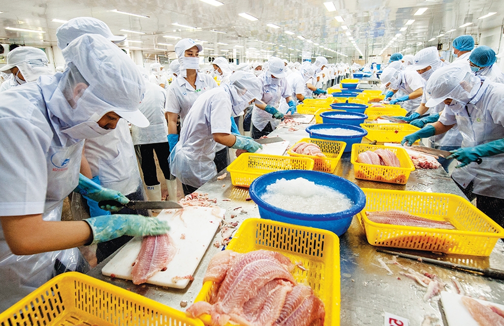 XK cá tra sang các thị trường lớn đang lấy lại đà phục hồi tốt, duy chỉ có thị trường EU chưa thoát mức âm.