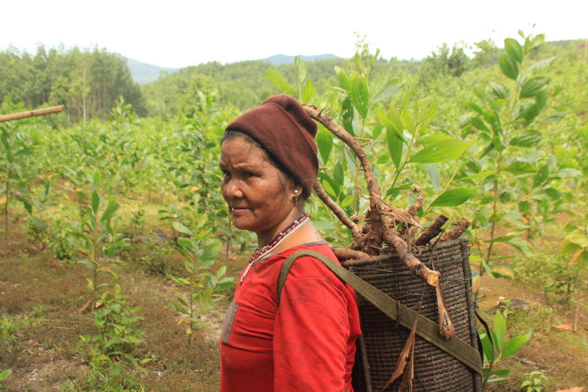 Công tác đào tạo nghề được ưu tiên hàng đầu trong quá trình giảm nghèo bền vững ở Thượng Long (Ảnh TL).