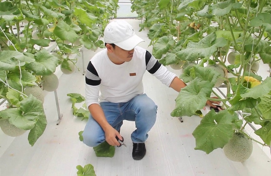 Áp dụng công nghệ cao vào sản xuất là hướng đi được khuyến khích hiện nay.