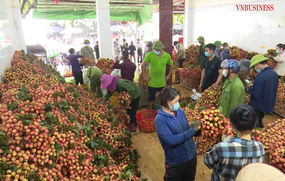 Sự hỗ trợ tích cực của các cấp chính quyền, Liên minh HTX và cộng đồng, hàng chục nghìn tấn vải thiều của tỉnh Bắc Giang được tiêu thụ đúng thời vụ, đảm bảo giá cả.