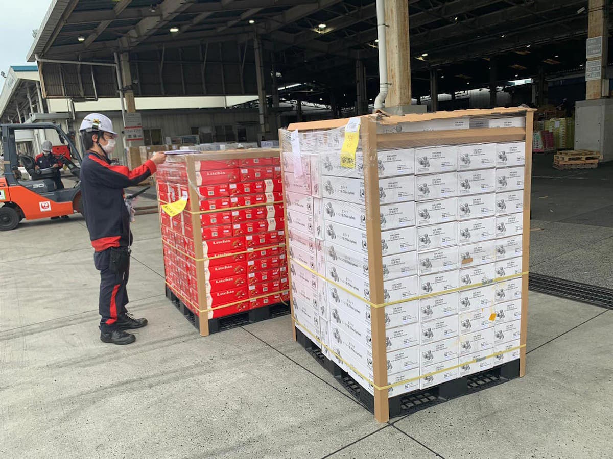 Quả vải thiều đã được xuất khẩu qua nhiều kênh tại thị trường Nhật Bản.