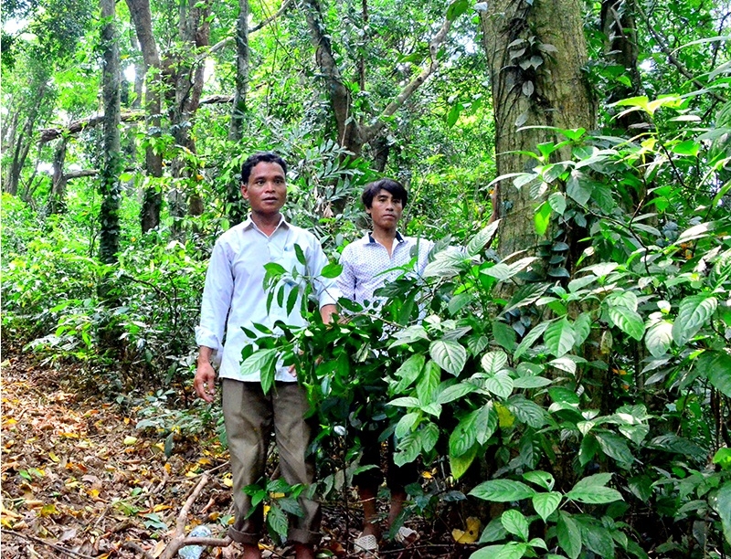 Tổ bảo vệ rừng thôn Húc Thượng đi tuần tra.