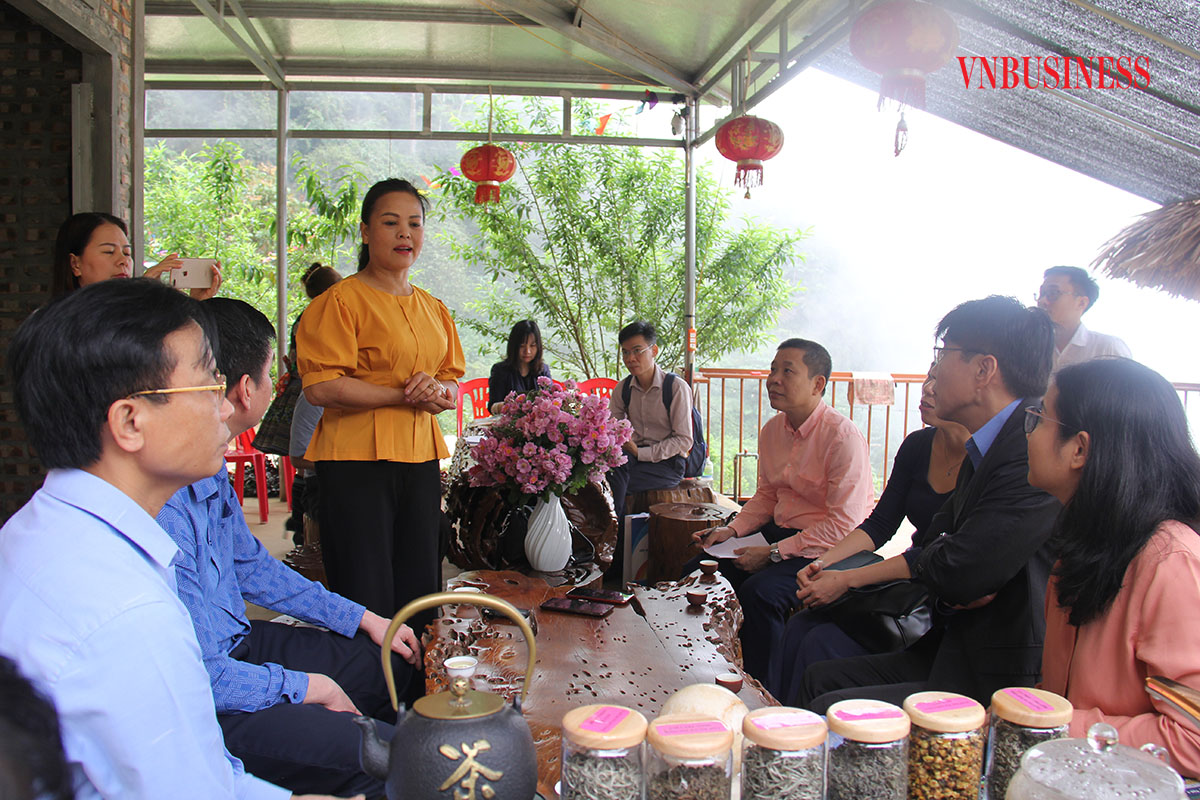 Chị Lâm Thị Kim Thoa, Giám đốc HTX chè Suối Giàng đang trao đổi với các cơ quan chức năng về xây dựng thương hiệu sản phẩm và tạo việc làm cho đồng bào địa phương.