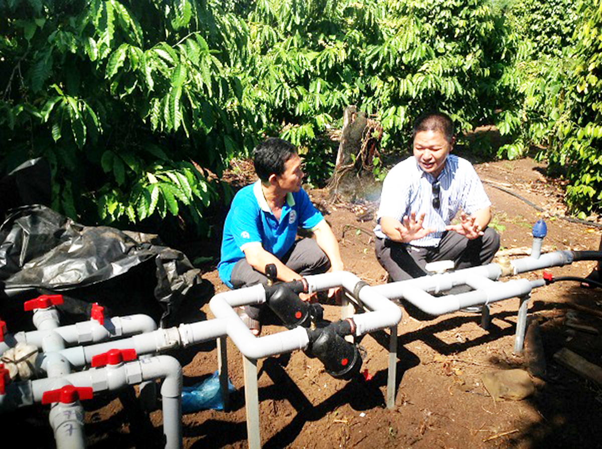 Hệ thống tưới tự động tiết kiệm nước của HTX đang phát huy hiệu quả tích cực .(Ảnh TL).