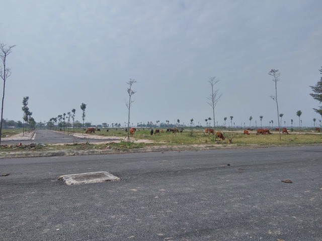 Hàng trăm dự án bỏ hoang gây lãng phí nguồn lực của Nhà nước và hệ luỵ lớn cho người lao động đang được Thường trực HĐND TP. Hà Nội yêu cầu các sở ngành giải quyết dứt điểm (Ảnh: TL)