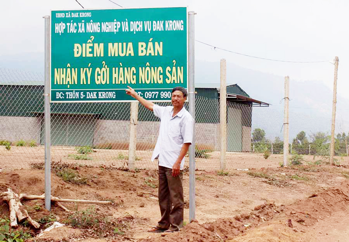 Không chỉ hỗ trợ sản xuất, HTX đang hỗ trợ tiêu thụ cho thành viên, hộ liên kết (Ảnh TL).