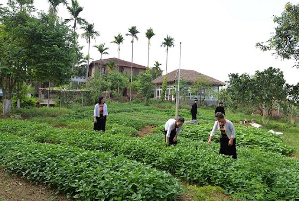 Tính đến cuối năm 2020, tỷ lệ hộ nghèo tại Hà Tĩnh chỉ còn 3%, giảm 8,4% so với đầu nhiệm kỳ 2015 - 2020.