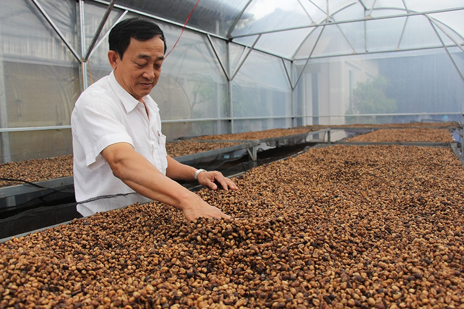 Ngành cà phê của Đắk Lắk đang chuyển dần sang xuất khẩu với hàm lượng công nghệ cao.