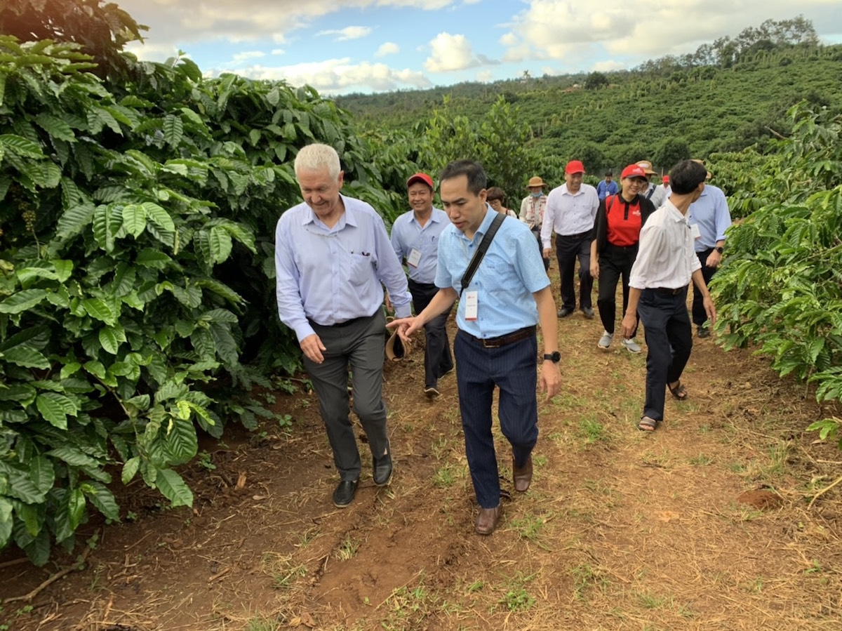 Đắk Lắk đẩy mạnh thu hút doanh nghiệp đầu tư vào ngành cà phê.