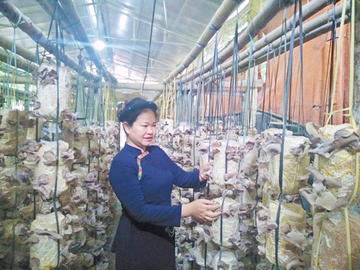 Hoạt động dạy nghề tạo việc làm cho phụ nữ ở Bắc Kạn đang cho thấy hiệu quả rất tích cực (Ảnh TL).