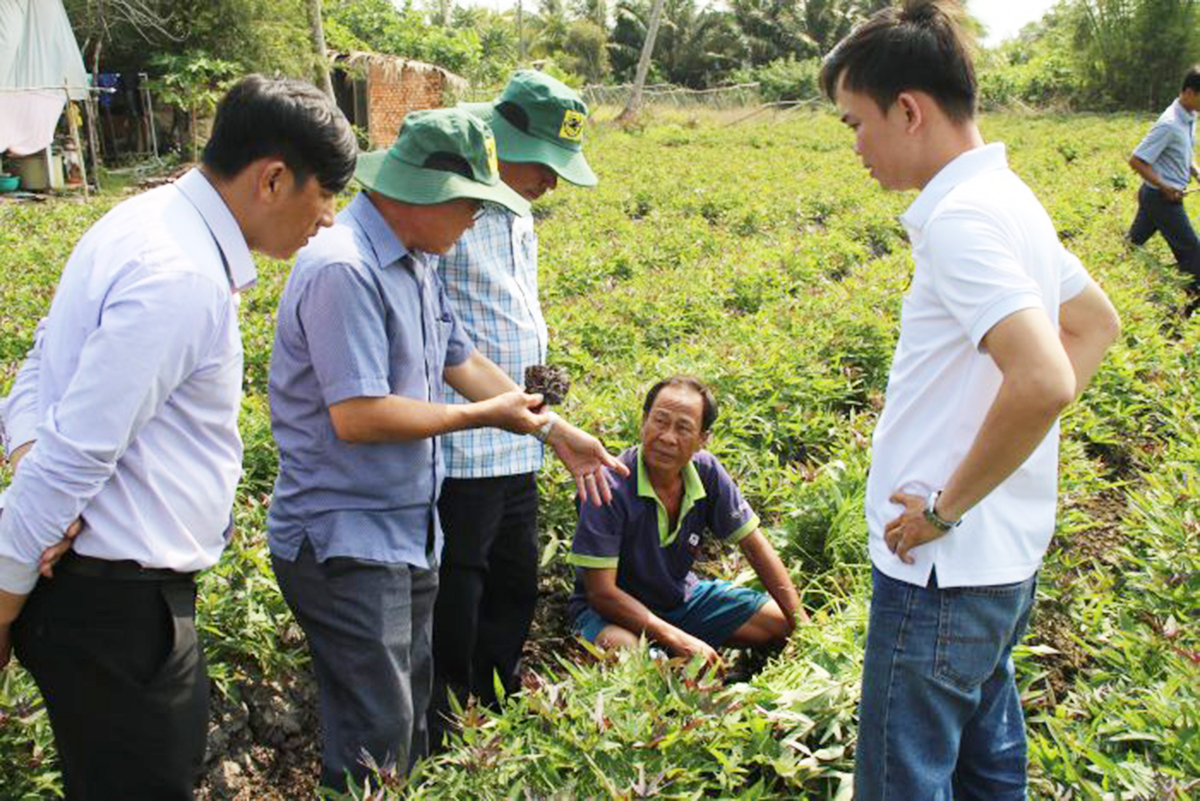 Để tạo bước đột phá trong phát triển kinh tế, cần sự đồng hành của cả người dân và chính quyền địa phương.