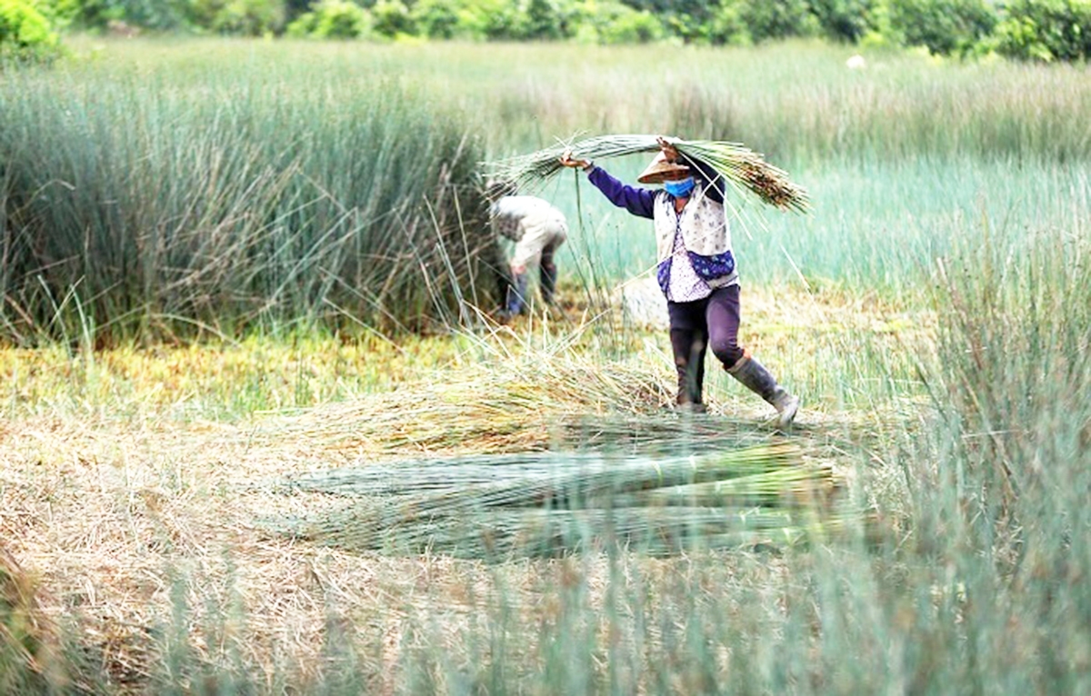 Phụ nữ huyện Giồng Riềng năng động phát triển kinh tế, phát huy giá trị nghề truyền thống.