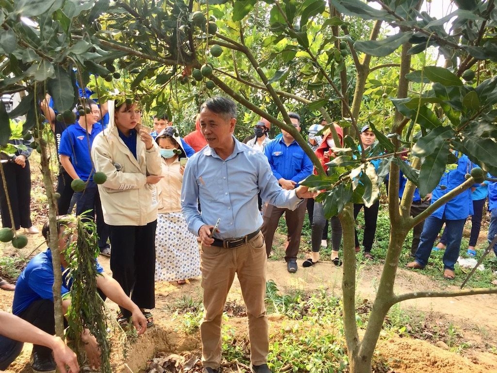 Các thanh niên đồng bào thiểu số tham quan học hỏi tại HTX Mắc ca Nhân Hòa ở thôn 3, xã Kon Đào.