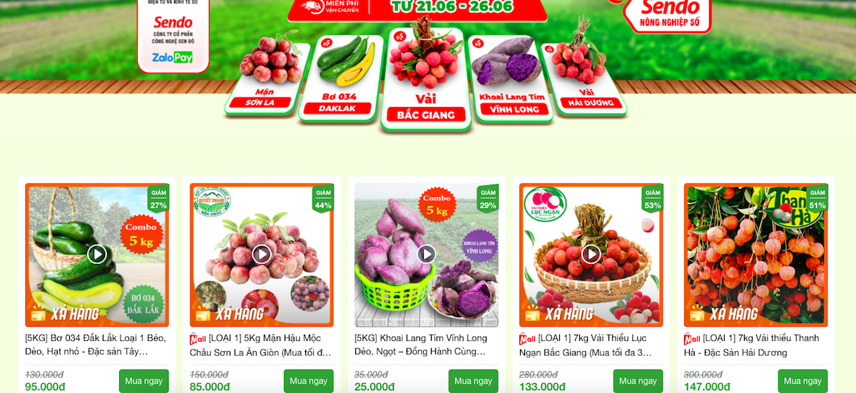 Sản phẩm nông sản của HTX, nông dân đồng loạt được đưa lên sàn thương mại điện tử.