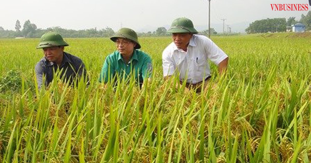 Việc đẩy mạnh ứng dụng cơ giới hóa góp phần vào việc chuyển dịch cơ cấu sản xuất nông nghiệp của địa phương