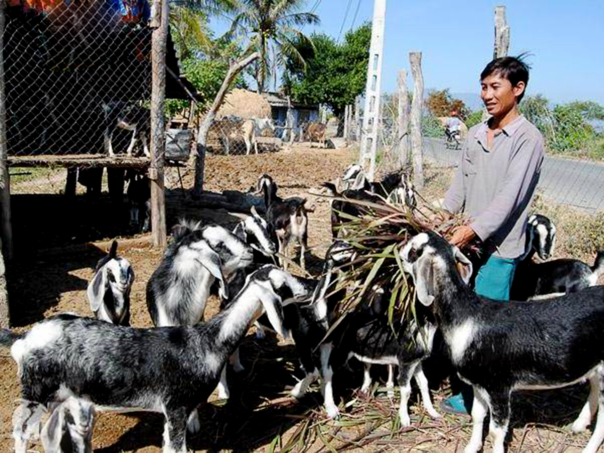 Việc kết nối các HTX, doanh nghiệp để tạo việc làm cho người lao động sau học nghề là điều cần thiết (Ảnh TL).