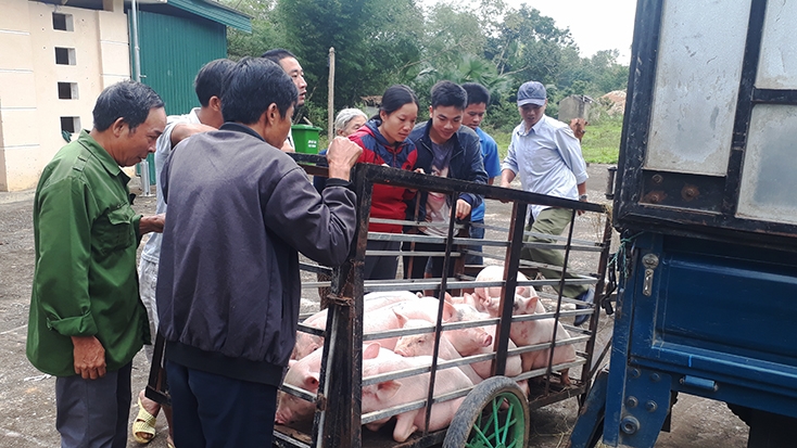 Công tác giảm nghèo ở vùng dân tộc thiểu số ở huyện Minh Hoá đang phát huy hiệu quả.