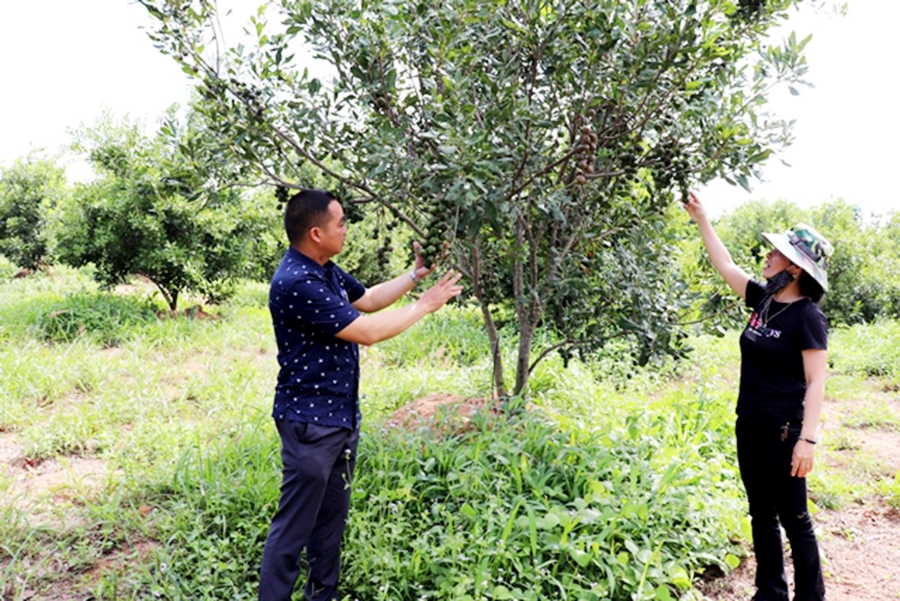 Huyện đặt mục tiêu có 11 sản phẩm OCOP 2 - 3 sao cấp tỉnh trong năm 2021.