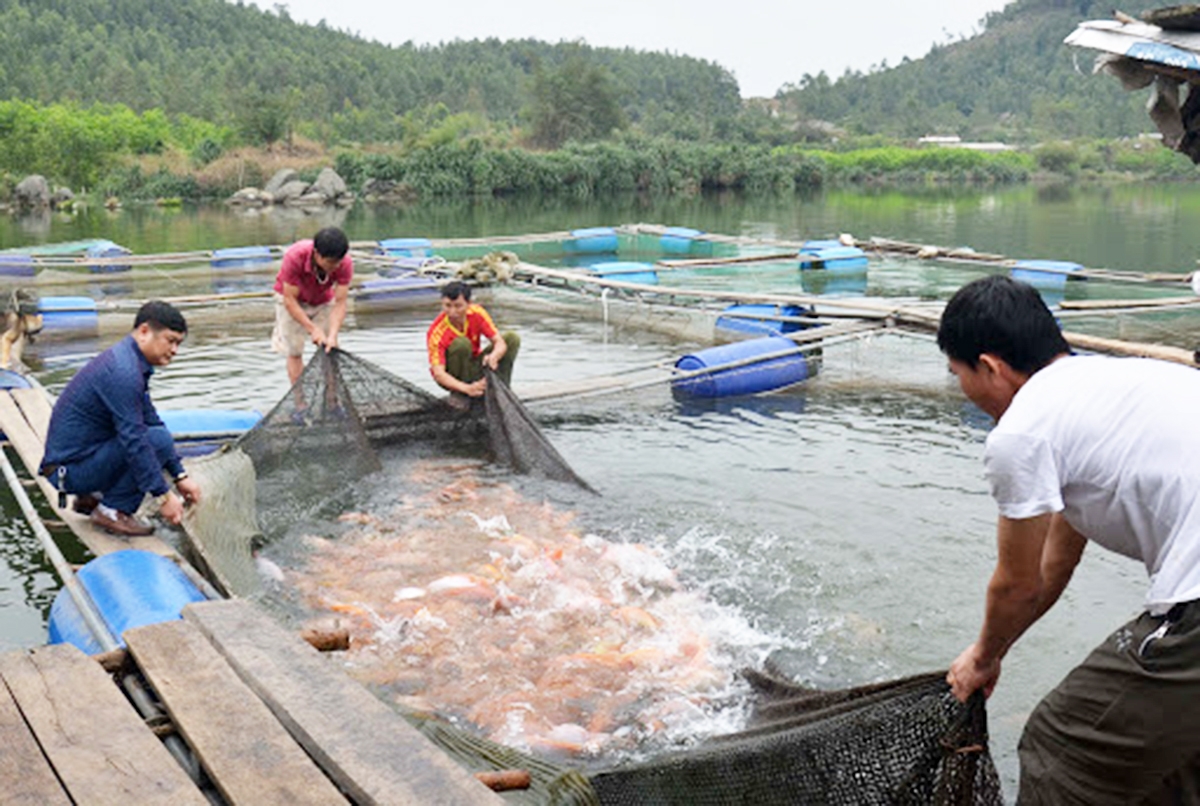 Huyện sẽ tích cực bổ sung các nguồn lực hỗ trợ HTX phát triển nhằm tạo việc làm cho người dân tộc thiểu số.