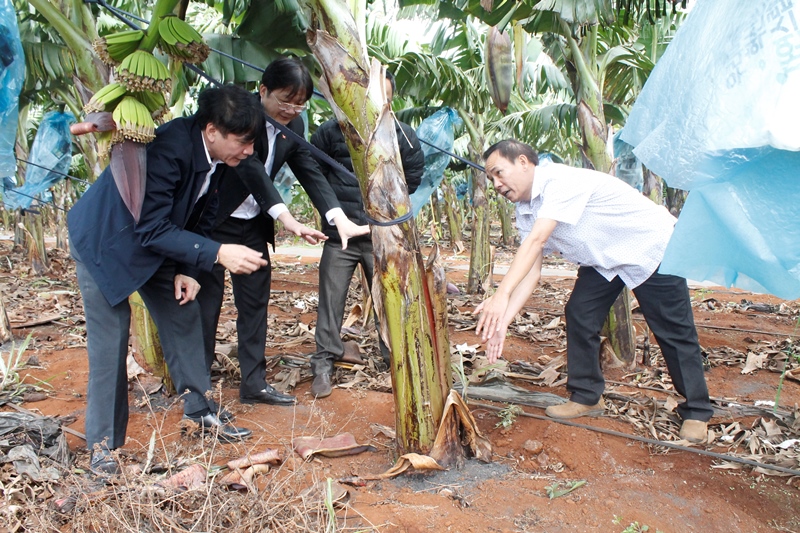 Ngành nông nghiệp phải bắt đúng nguyên nhân để cải cách hành chính, chứ điều trị triệu chứng không ăn thua.