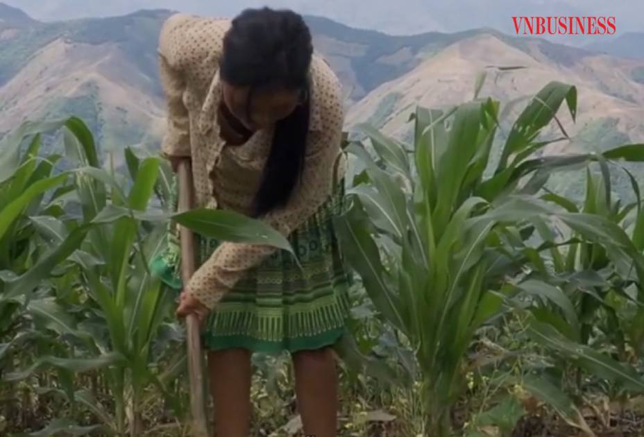 Người Mông theo đạo Tin Lành luôn nỗ lực xây dựng quê hương đất nước, phát triển kinh tế