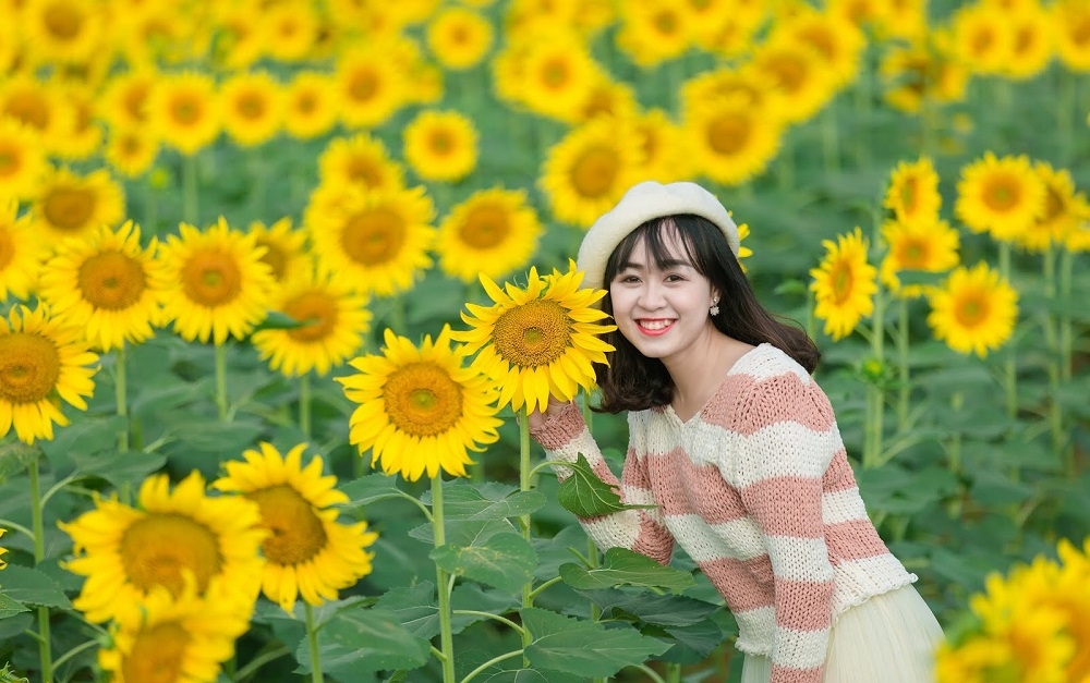 Nông nghiệp sạch là nền tảng thu hút khách du lịch và góp phần bảo vệ môi trường.