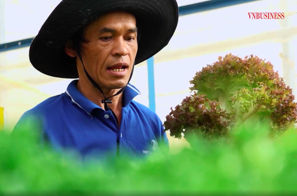 Đời sống của đồng bào dân tộc thiểu số được nâng cao nhờ chuyển đổi cây trồng.