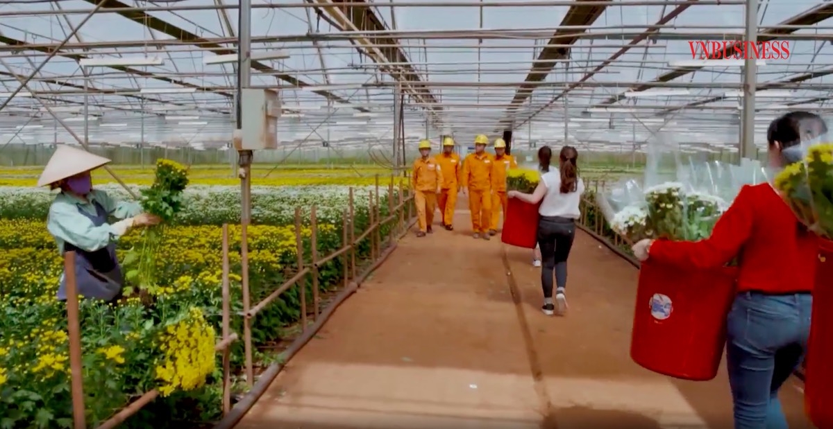 Hoa đã làm thay đổi cuộc sống, thay đổi tư duy, thay đổi “bộ mặt” của huyện Lạc Dương.