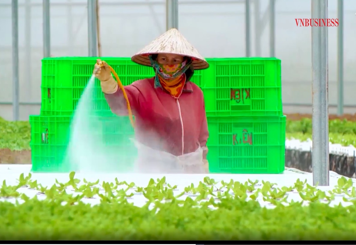 Việc liên kết sản xuất theo chuỗi là hướng đi bắt buộc phải làm để nâng cao giá trị sản xuất, cải thiện đời sống đồng bào dân tộc.