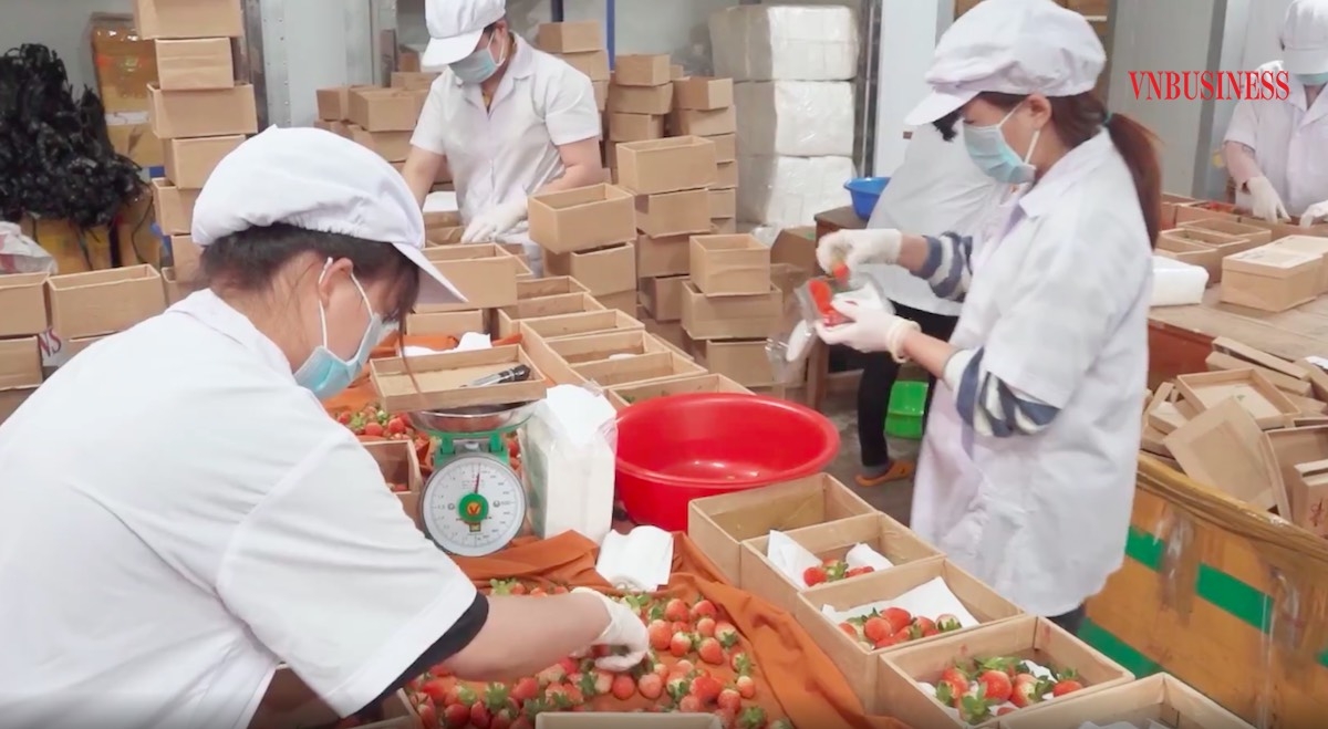 Khuyến khích DN đầu tư vào vùng sâu, vùng xa để liên kết với HTX và bà con dân tộc.