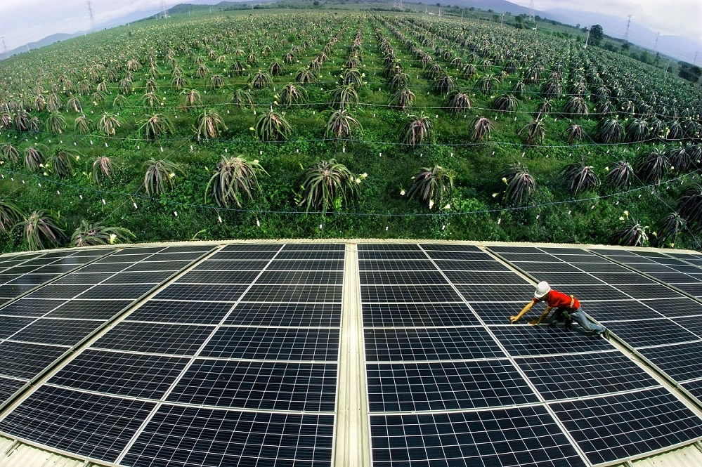 Các chính sách khuyến khích phát triển năng lượng tái tạo sẽ giúp Việt Nam ưu tiên các dự án năng lượng mặt trời (Ảnh: Int)