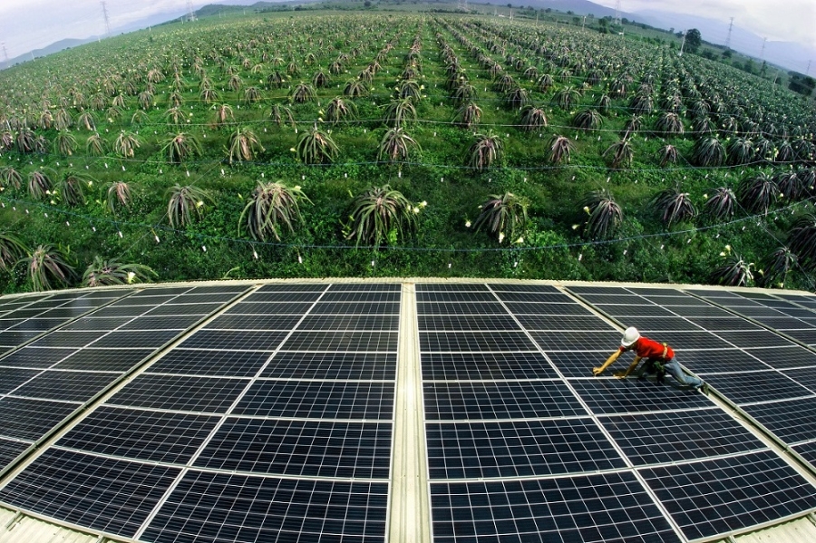 Các chính sách khuyến khích phát triển năng lượng tái tạo sẽ giúp Việt Nam ưu tiên các dự án năng lượng mặt trời (Ảnh: Int)