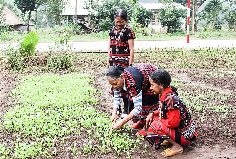 Cuộc sống của đồng bào dân tộc thiểu số huyện Đakrông ngày càng được cải thiện.
