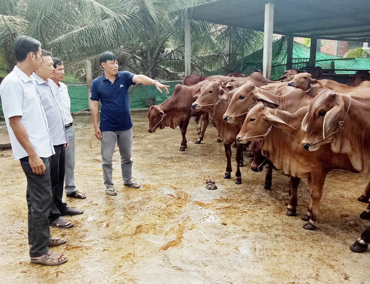 HTX đang đóng góp tích cực vào công tác đào tạo nghề cho lao động nông thôn ở Mỹ Chánh (Ảnh TL).