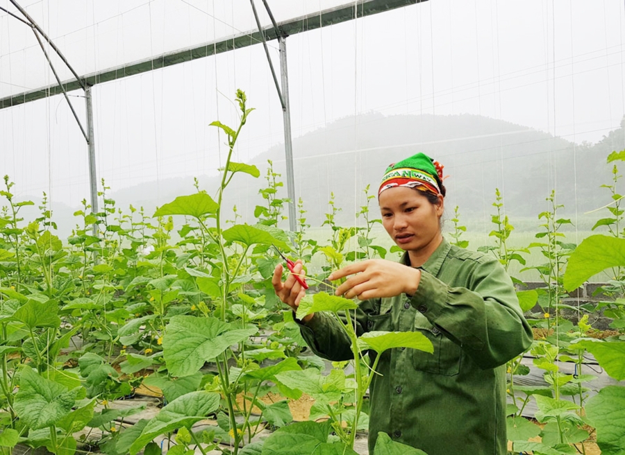 Cần thêm những giải pháp mang tính căn cơ để giúp đồng bào dân tộc thiểu số phát triển bền vững.