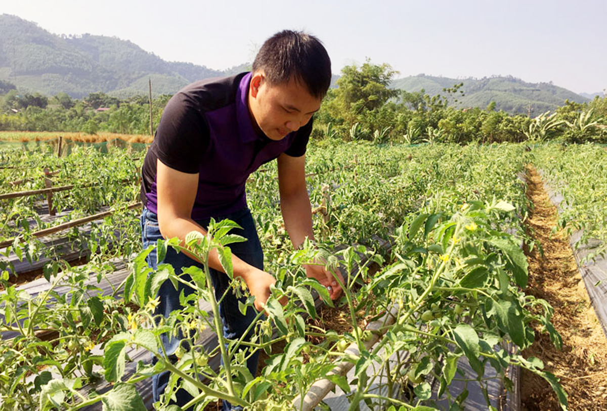 Nhân rộng các điển hình tiên tiến để tạo sức lan tỏa mạnh mẽ trong phong trào thi đua sản xuất giỏi.