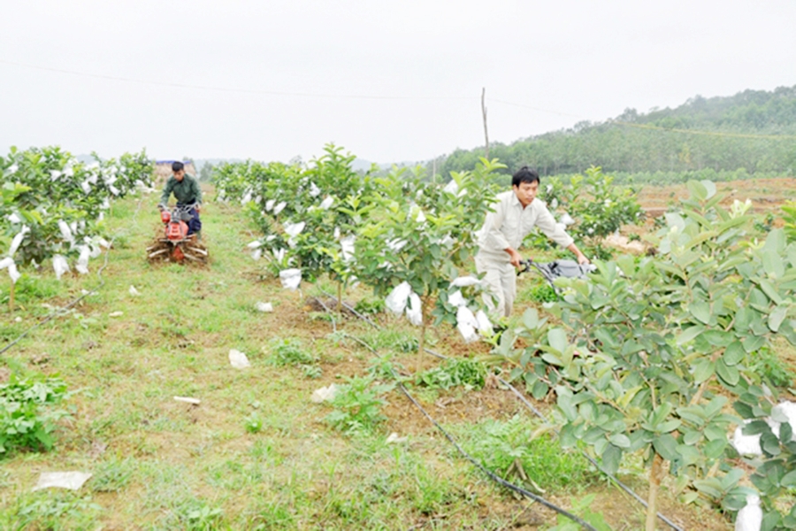 Thành viên HTX Gia Phúc sử dụng máy móc trong sản xuất (Ảnh TL).