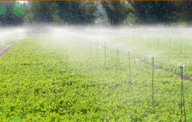 Đưa công nghệ vào đồng ruộng giúp nông dân giảm công lao động, tăng hiệu quả sản xuất (Ảnh TL).